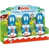 Kinder Easter Bunny Milk Chocolate (3 Pack) 2 Kinder Easter Bunny Milk Chocolate (3 Pack) -Candy Promotion Store F110003386 81586.1674196774