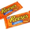Reeses GiantBars (12 X 192g Bars (6.8oz)) -Candy Promotion Store Reeses Giant Bars 192g 97429.1309235086